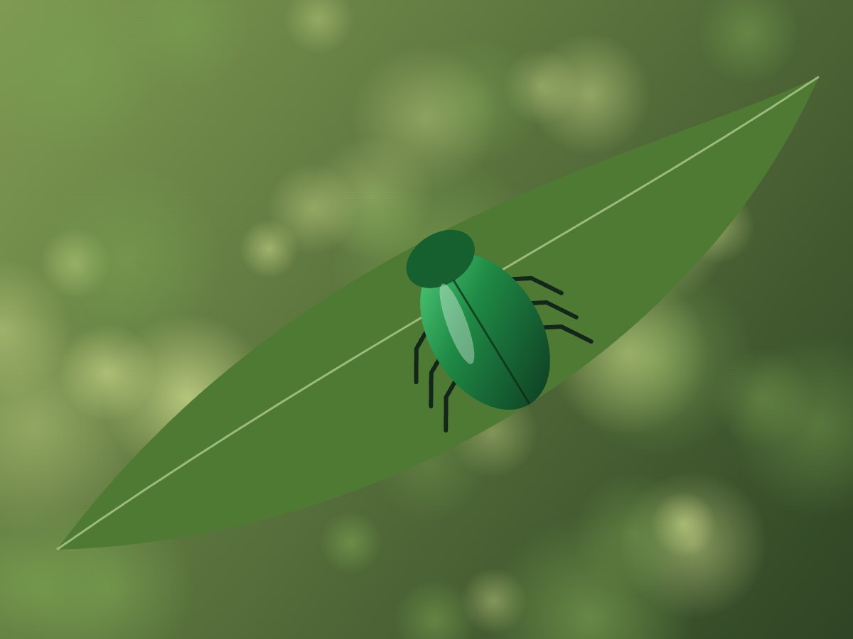 A shiny green beetle resting on a broad leaf.