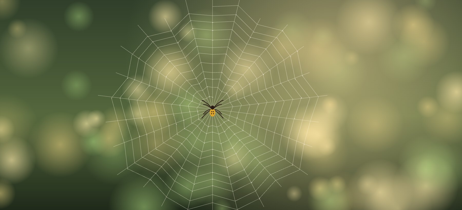 A golden orb-weaver at the centre of its web, early morning light behind it.