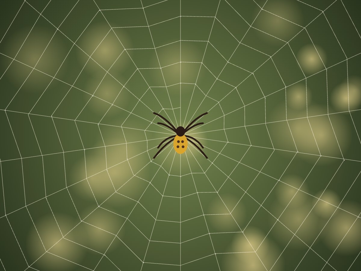 A spider sitting head-down at the hub of a finished web.